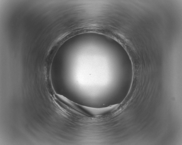 X0000073491402200608140830