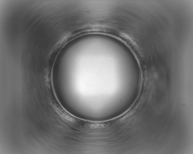 X0000073491403200608140830