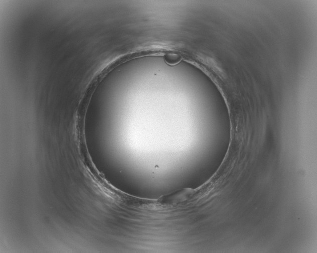 X0000073491404200608140830