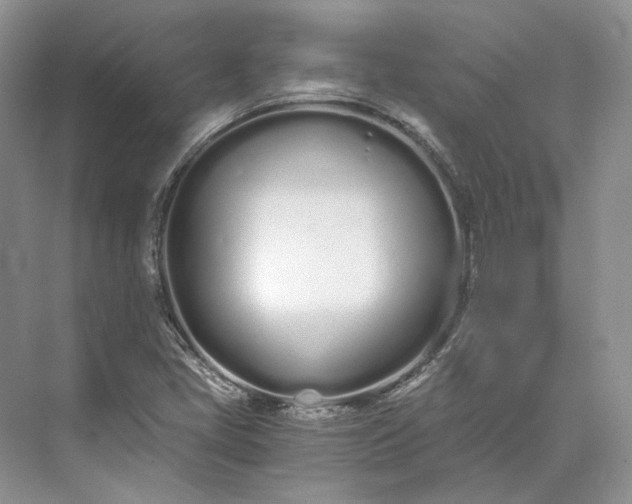 X0000073491405200608140830