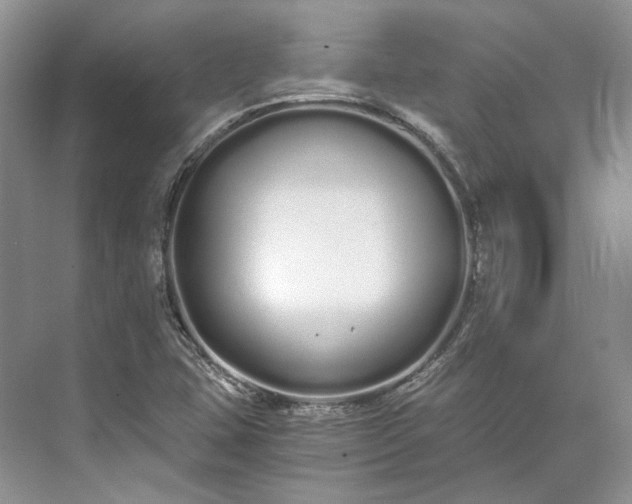 X0000073491407200608140830