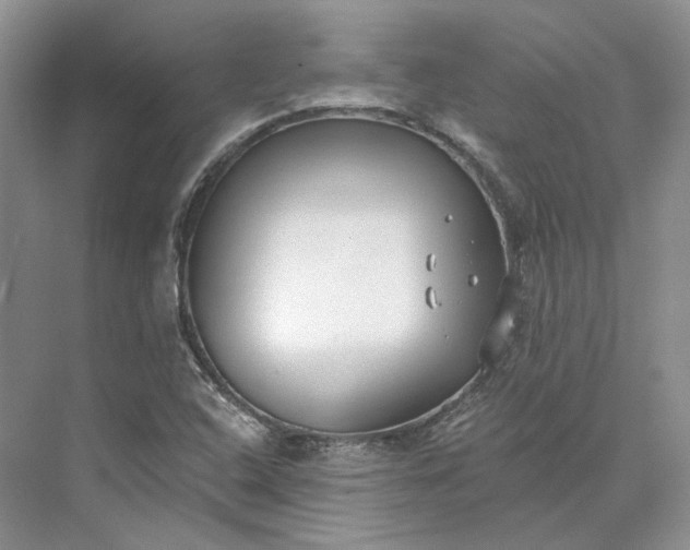 X0000073491408200608140830