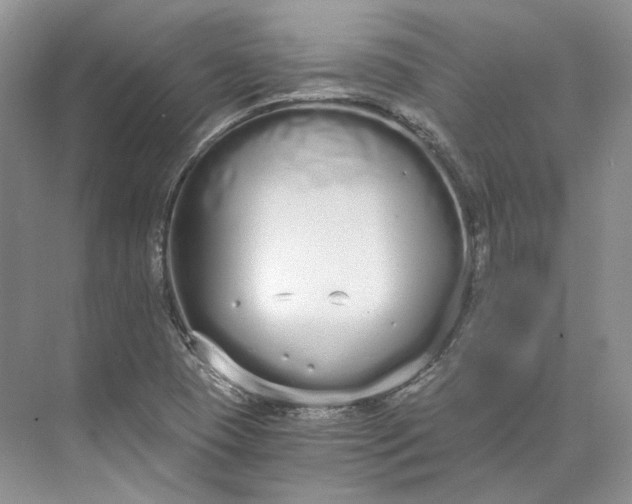 X0000073491409200608140830