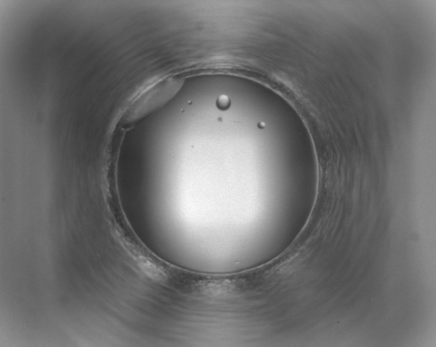 X0000073491410200608140830