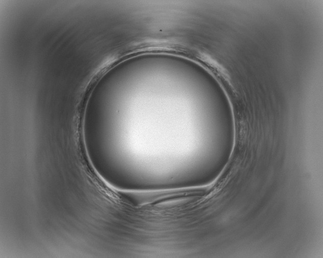 X0000073491411200608140830