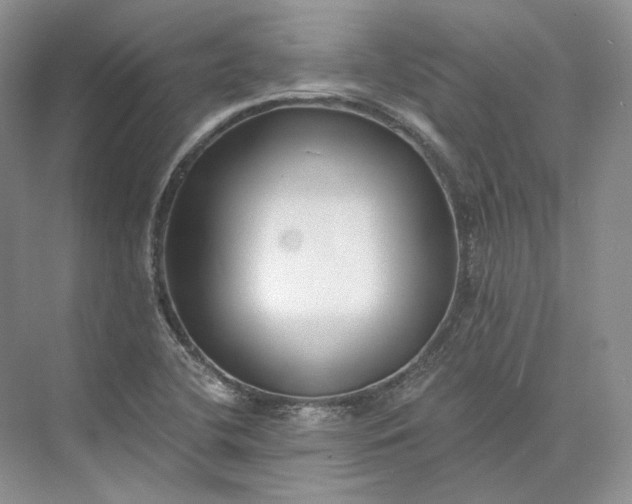 X0000073491412200608140830