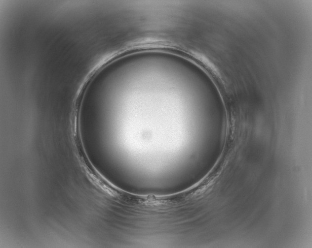 X0000073491413200608140830