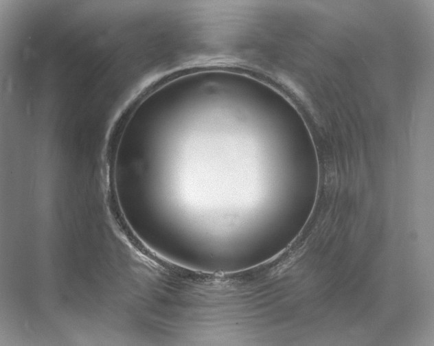 X0000073491414200608140830