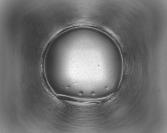 X0000073491415200608140830