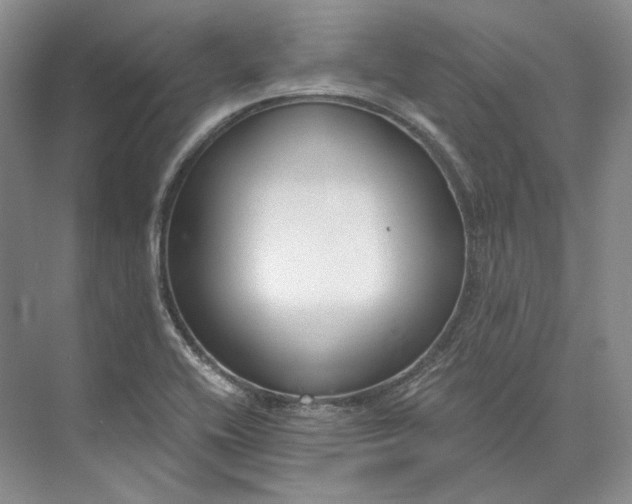 X0000073491416200608140830