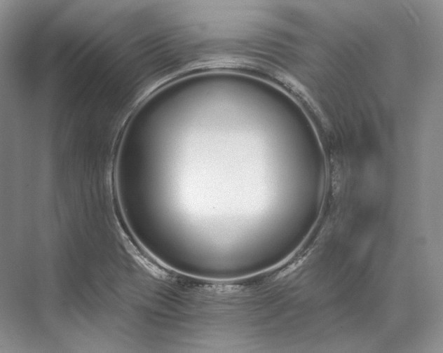 X0000073491417200608140830