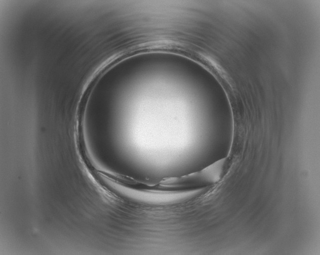 X0000073491418200608140830