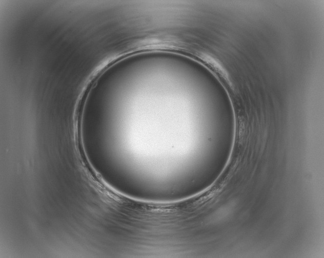 X0000073491419200608140830