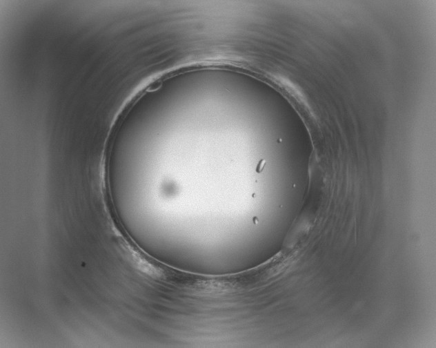 X0000073491420200608140830