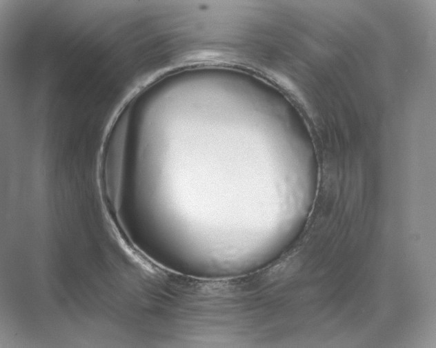 X0000073491421200608140830