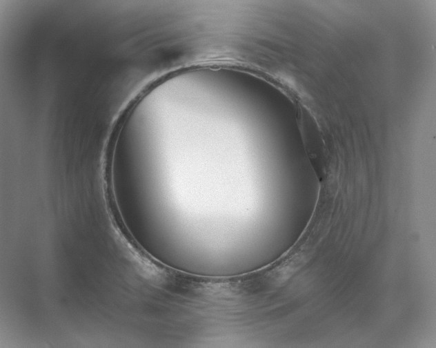 X0000073491422200608140830