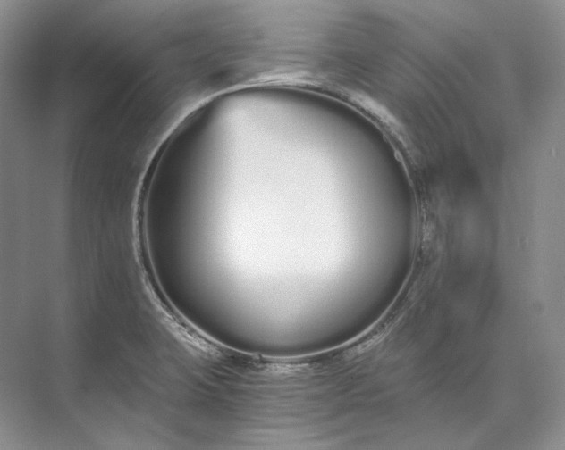 X0000073491423200608140830