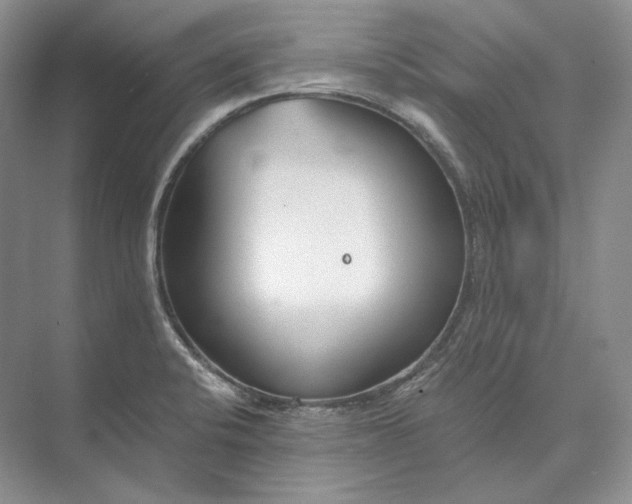 X0000073491424200608140830