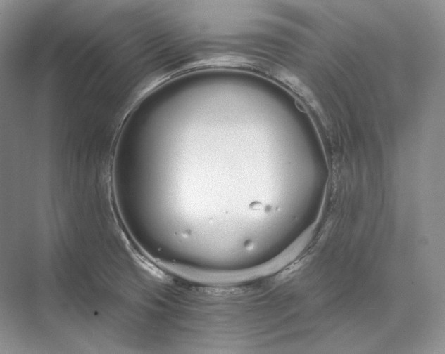 X0000073491425200608140830