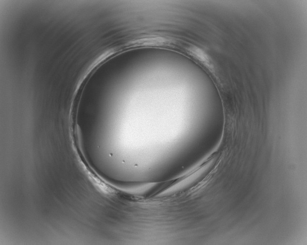 X0000073491426200608140830