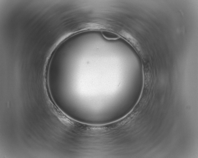 X0000073491427200608140830