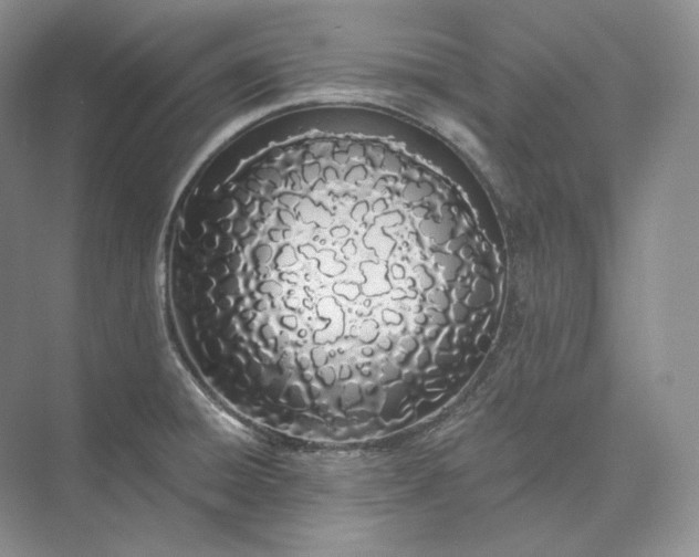 X0000073491428200608140830