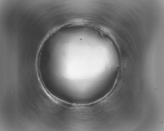 X0000073491429200608140830