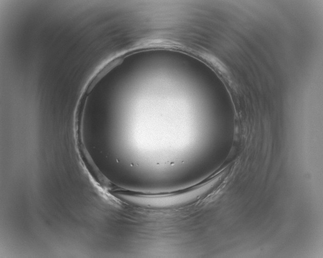 X0000073491430200608140830