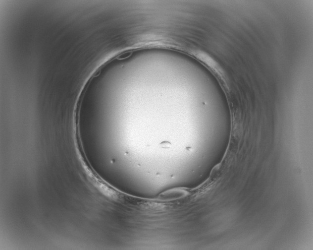 X0000073491431200608140830