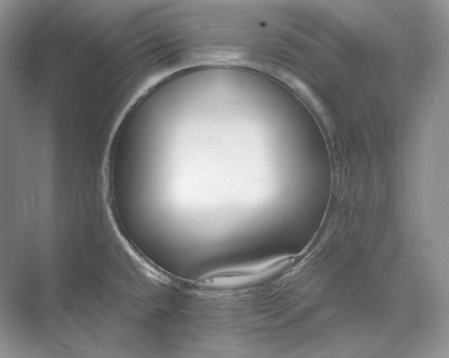 X0000073491432200608140830