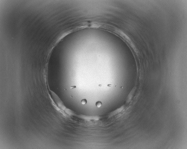 X0000073491433200608140830