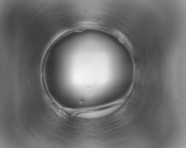 X0000073491435200608140830