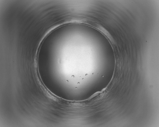 X0000073491436200608140830