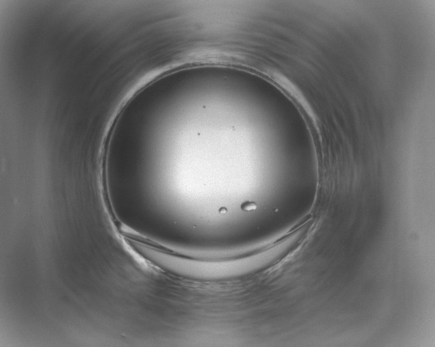 X0000073491437200608140831