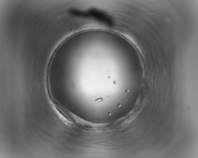 X0000073491438200608140831