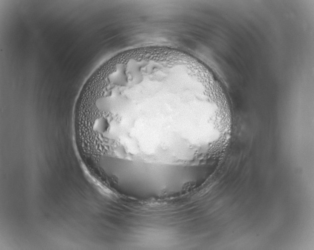 X0000073491439200608140831