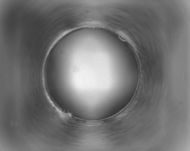 X0000073491440200608140831