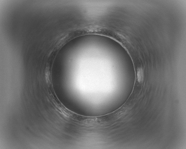 X0000073491444200608140830