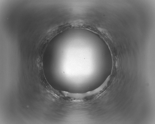 X0000073491445200608140830