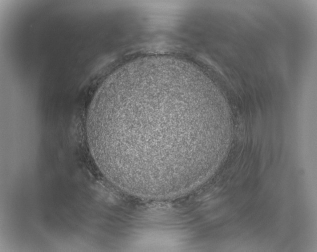 X0000073491446200608140830