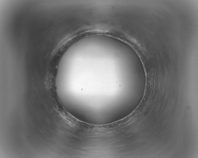 X0000073491448200608140830