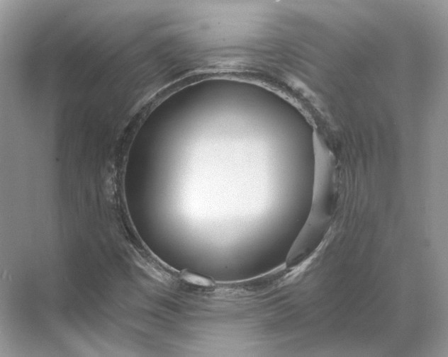 X0000073491449200608140830