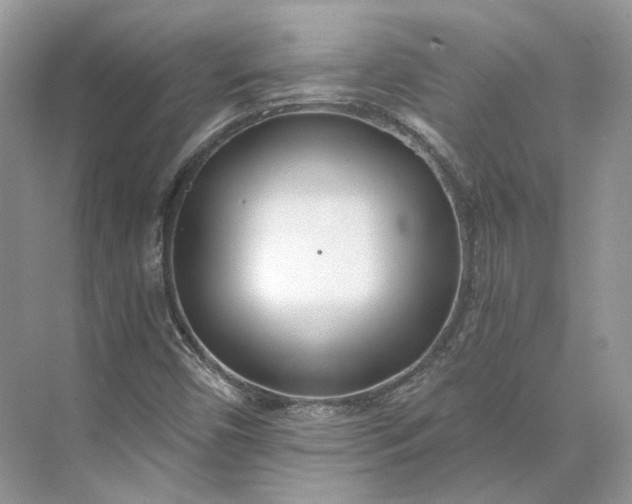 X0000073491450200608140830