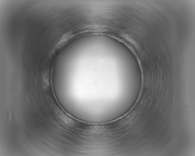 X0000073491451200608140830