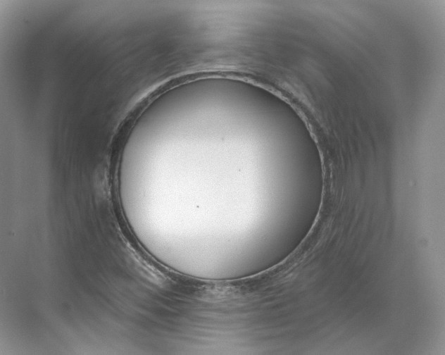 X0000073491452200608140830