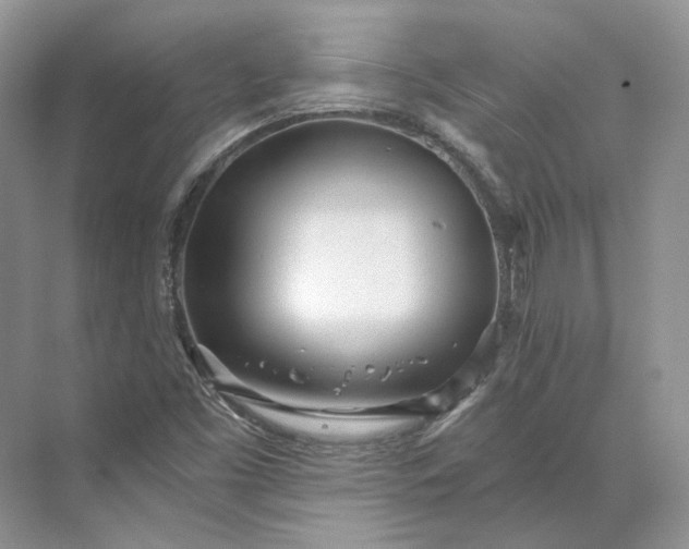 X0000073491453200608140830