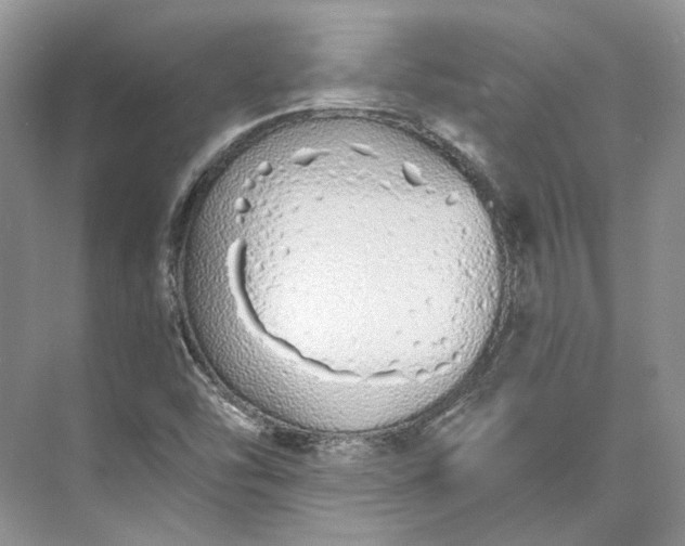 X0000073491454200608140830