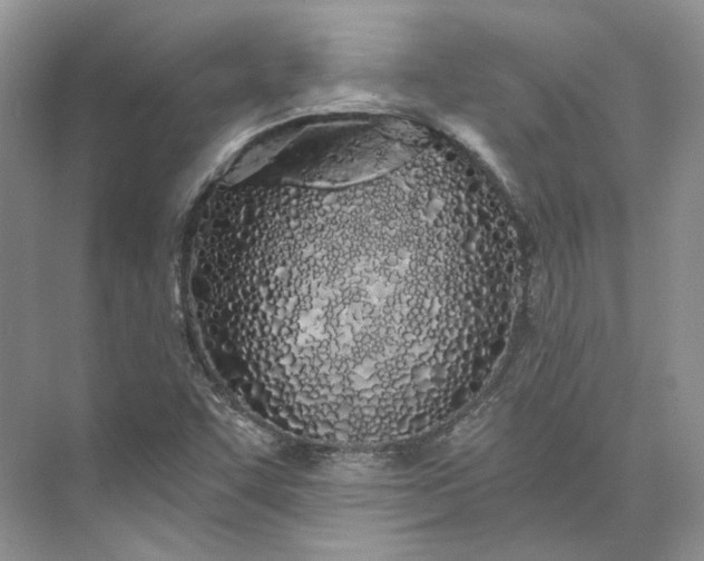 X0000073491455200608140830