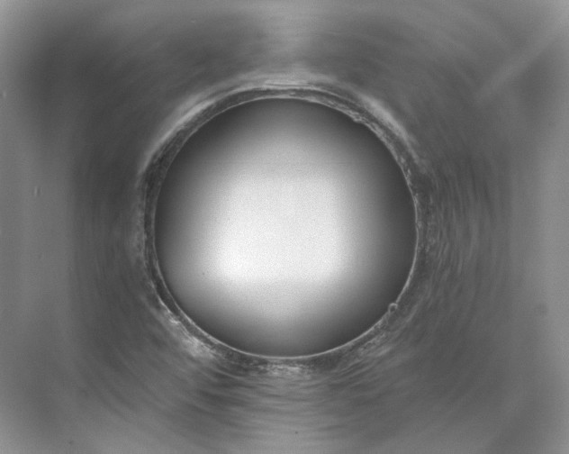 X0000073491456200608140829