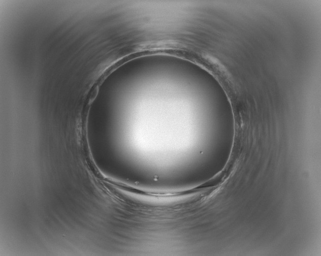 X0000073491457200608140829